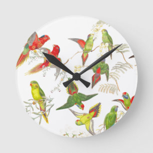 Lorikeet Parrot Birds Wildlife Animals Round Clock