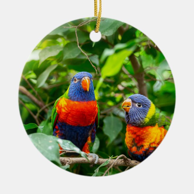 Lorikeet parrot couple ceramic ornament (Front)