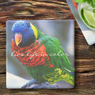 Lorikeet Red Blue Green Bird Live Life in Colour Stone Coaster