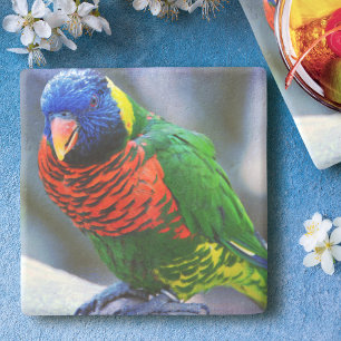 Lorikeet red green yellow blue bird photo modern stone coaster