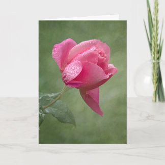Lorraine Lee rose card