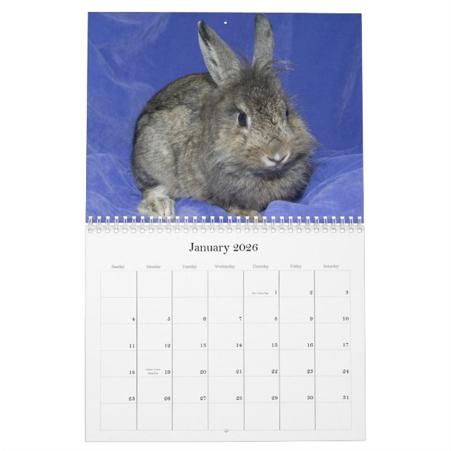 Los Angeles Rabbit Foundation - 2012 Calendar (Jan 2026)