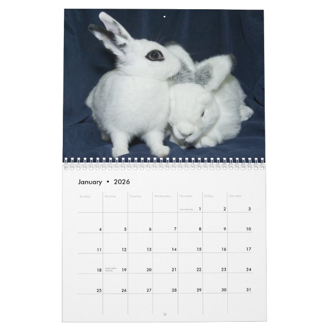 Los Angeles Rabbit Foundation 2013 Calendar (Jan 2026)