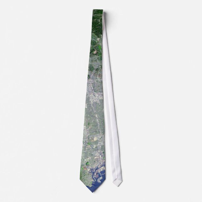 Los Angeles Tie (Front)