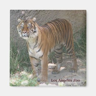 Los Angeles Zoo Magnet! Magnet
