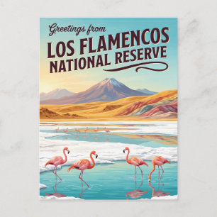 Los Flamencos National Reserve Chile Postcard