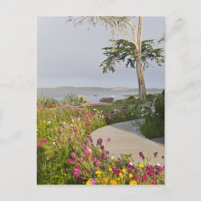 Los Osos and Baywood Park joined Postcard (Front)