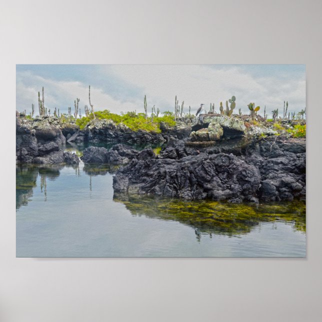 Los Tuneles, Galapagos Islands, Ecuador Poster (Front)