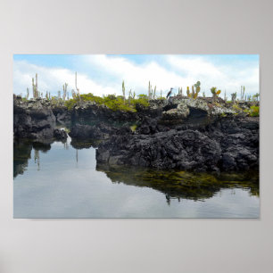 Los Tuneles in the Galapagos Islands Poster