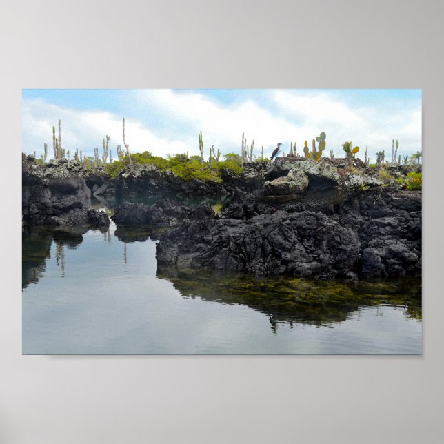 Los Tuneles in the Galapagos Islands Poster (Front)