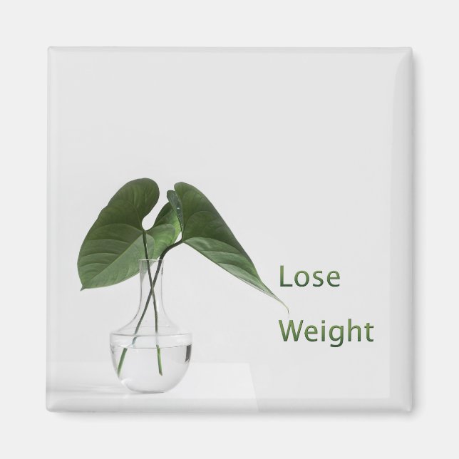 Lose Weight Diet Goals Magnet (Front)