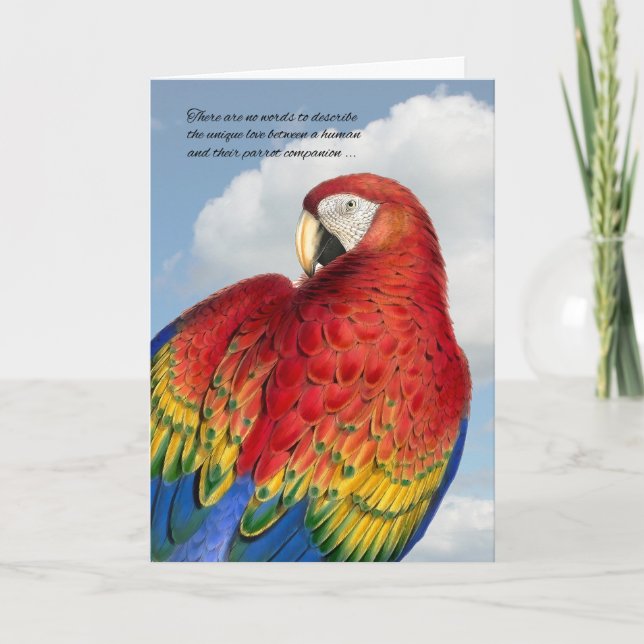 Loss of a Bird Pet Sympathy Rainbow Macaw Parrot Card (Front)