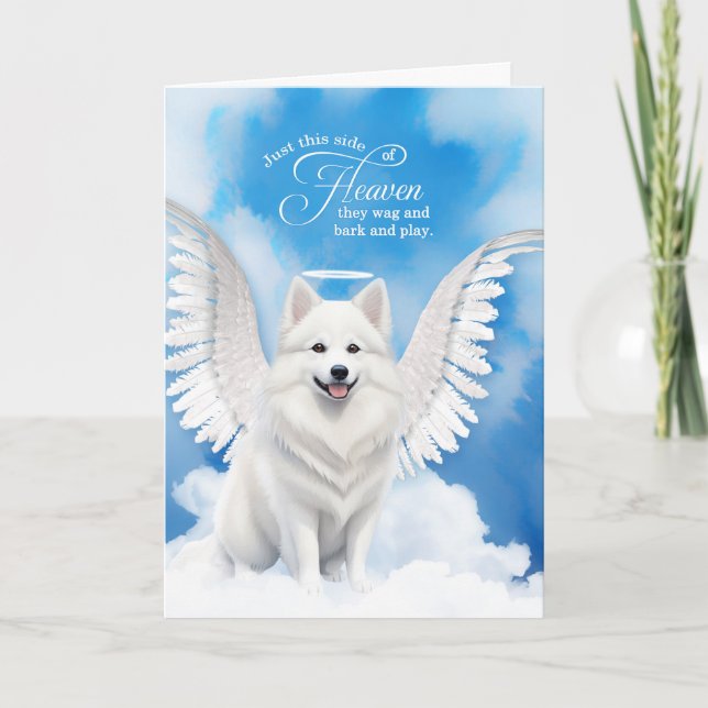 Loss of a Dog American Eskimo Angel Pet Sympathy Card (Front)