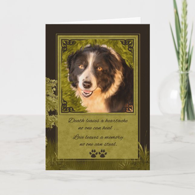 Loss of a Dog Border Collie Pet Sympathy Card (Front)