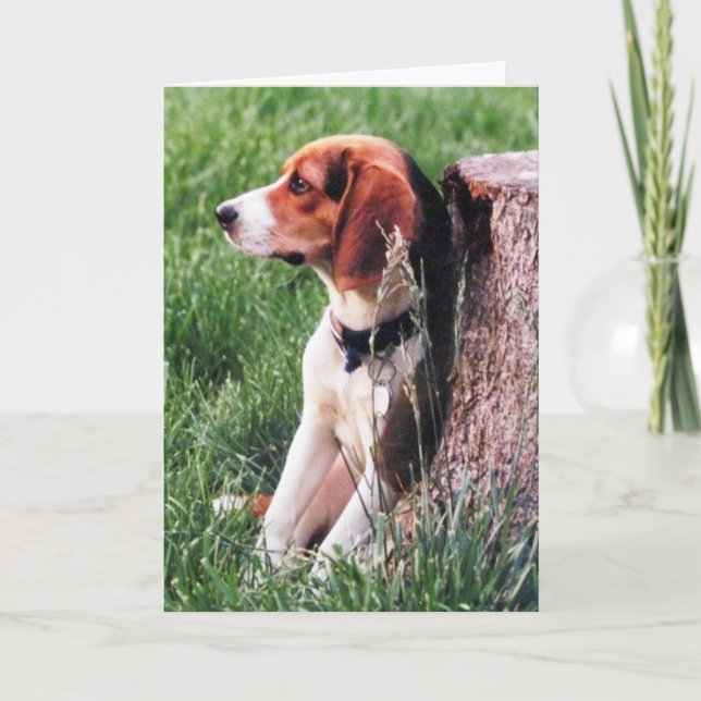 Loss of Beloved Pet Friend Sympathy Card (Front)