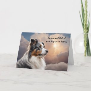 Loss of Blue Merle Australian Shepherd Sympathy Holiday Card