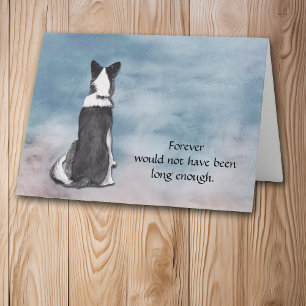 Loss of Border Collie Condolence Sympathy Card