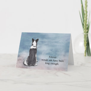Loss of Border Collie Condolence Sympathy Card