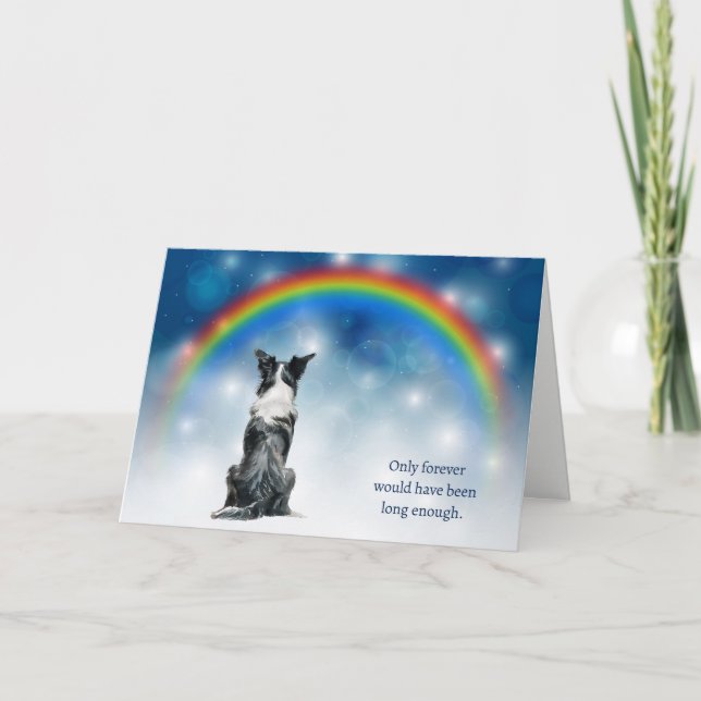 Loss of Border Collie Dog Night Lights Sympathy Holiday Card (Front)