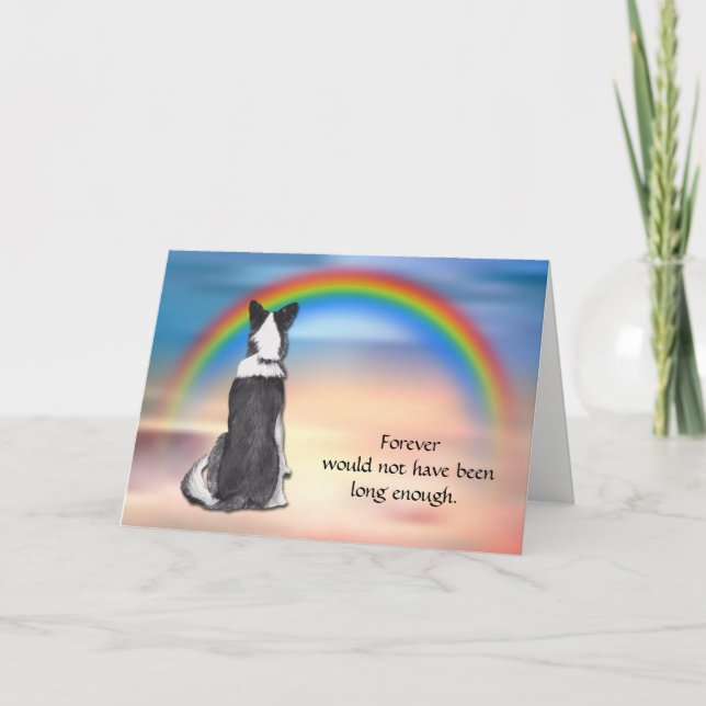 Loss of Border Collie Rainbow Sympathy Card (Front)