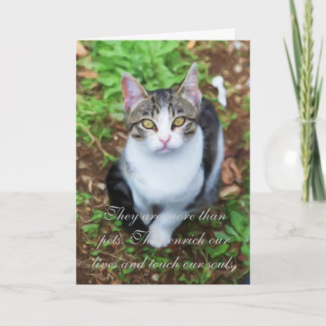 Loss of Cat Card (Front)