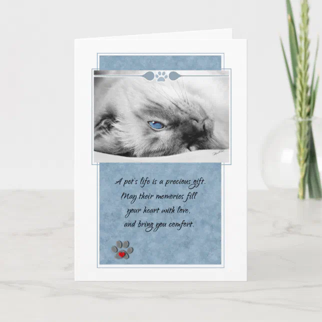 Loss Of Cat Siamese On Blue Pet Sympathy Card 