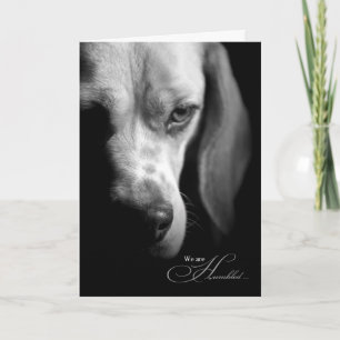 Loss of Dog Beagle on Black Pet Sympathy Card