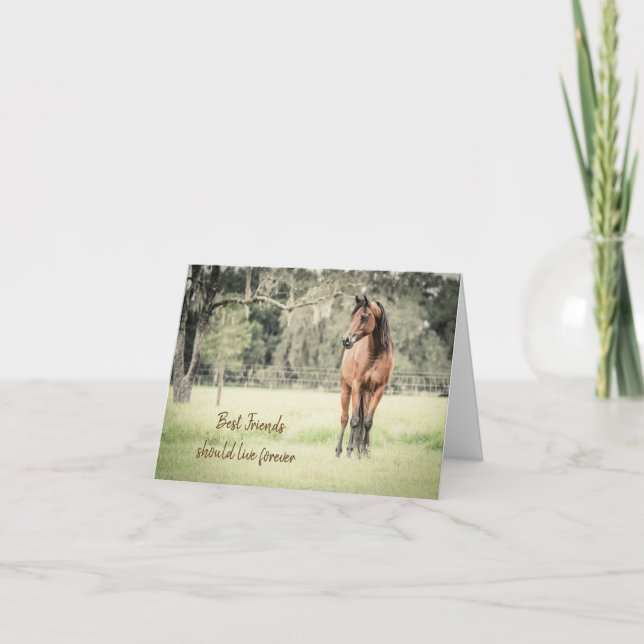 Loss of Horse Arabian Custom Message Sympathy Card (Front)