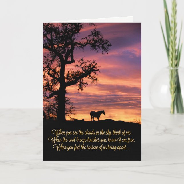 Loss of Horse, Horse Sympathy Card (Front)