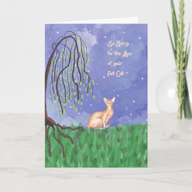 Loss of Pet Cat (Abyssinian) Sympathy Card (Front)