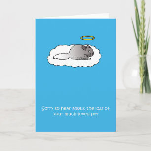Loss of Pet Chinchilla Sympathy Card