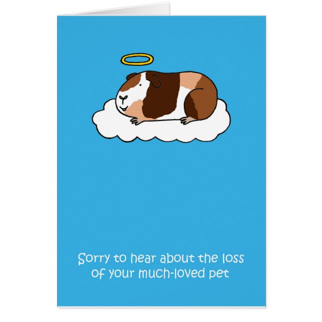 Loss of Pet Guinea Pig Sympathy (Front)
