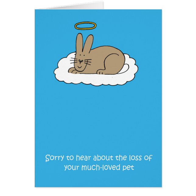 Loss of Pet Rabbit Sympathy (Front)