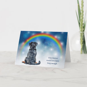 Loss of Rottweiler Dog Night Lights Sympathy Holiday Card
