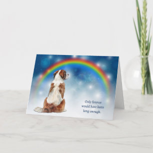 Loss of Saint Bernard Dog Night Lights Sympathy Holiday Card