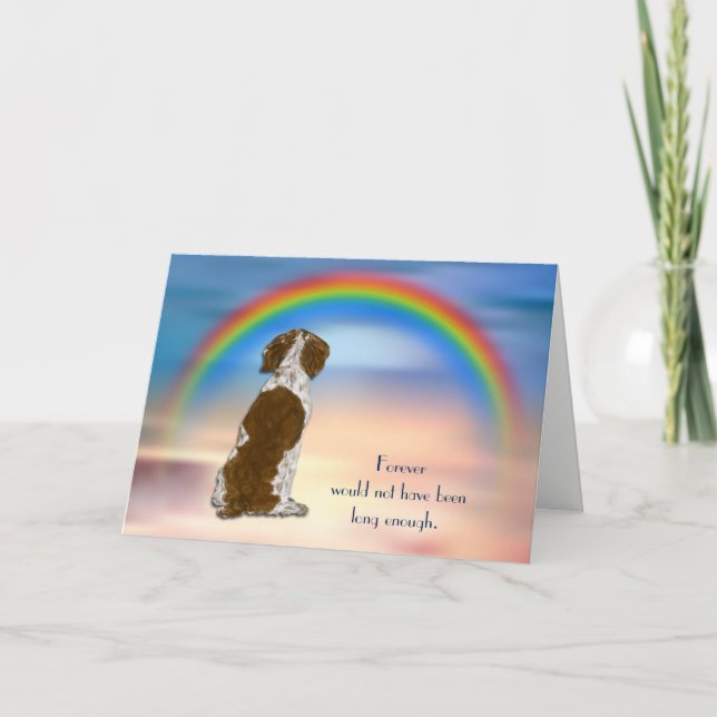 Loss of Spaniel Rainbow Sympathy Card (Front)