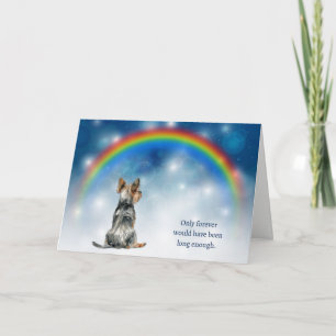 Loss of Yorkshire Terrier Night Lights Holiday Card