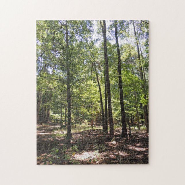 Lost Acres Jigsaw Puzzle (Vertical)