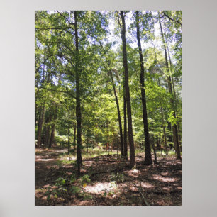 Lost Acres Print