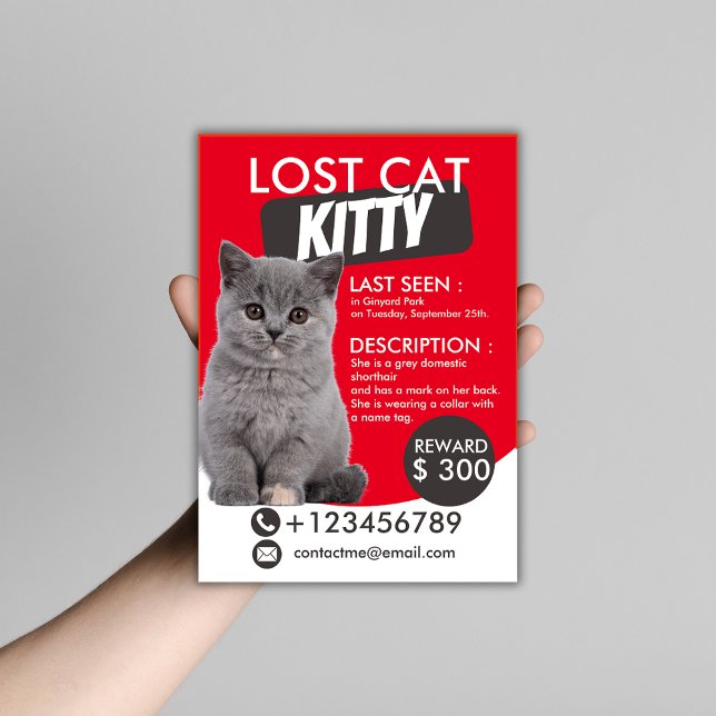 Lost Cat Flyer Template – Customisable Missing Pet (Creator Uploaded)