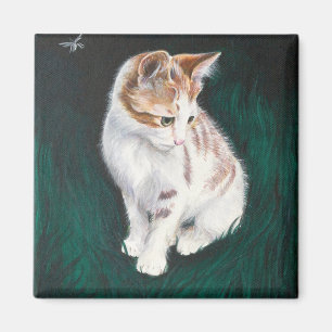 Lost cat magnet
