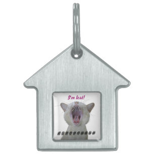 Lost cat tag