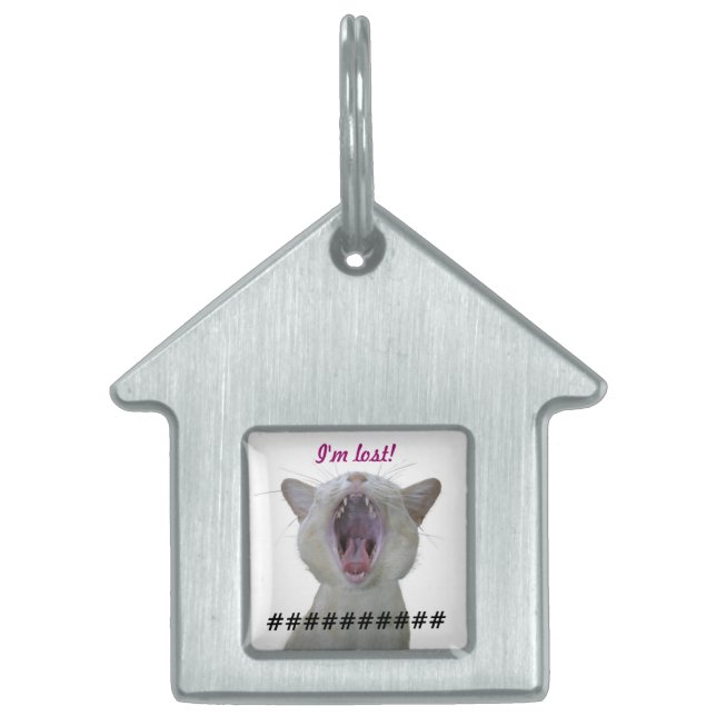 Lost cat tag (Front)