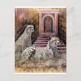 Lost City cheetahs Postcard
