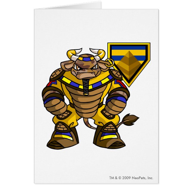 Lost Desert Team Captain 1 (Front)