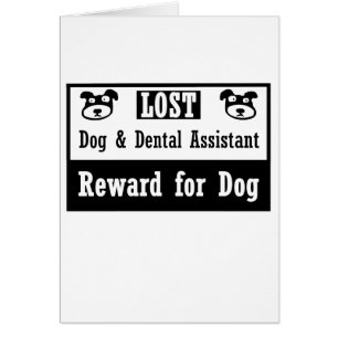 Lost Dog Dental Assistant