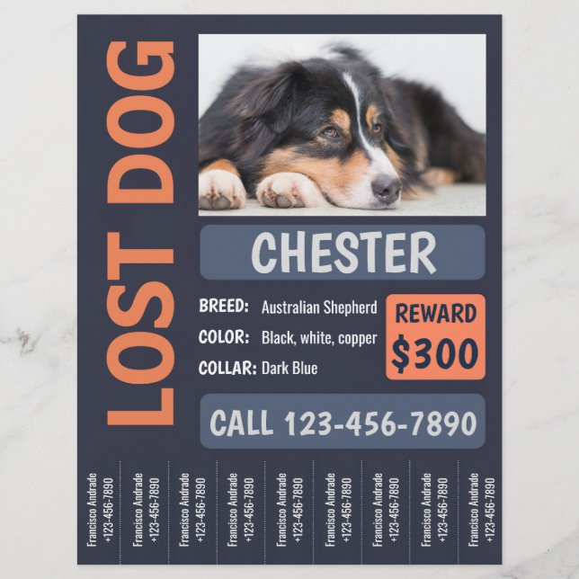Lost Dog Missing Reward Poster Flyer (Front)