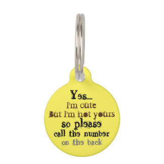 lost dog pet tag