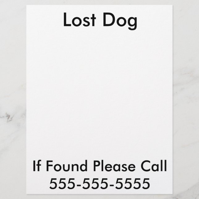 Lost Dog Poster Flyer (Front)