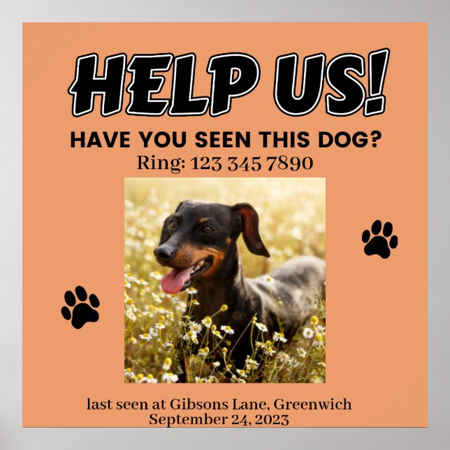 LOST DOG POSTER. HELP US! Editable details Poster (Front)